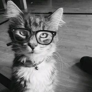 Meet your Posher, Deborah